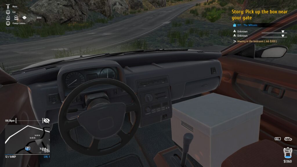 Thief Simulator